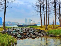 -北外滩滨江绿地