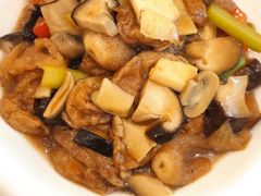 野竹荪焖面筋-五观堂素食(新华路店)