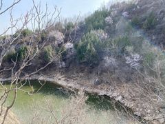 -北京凤凰岭