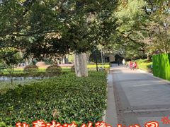 -徐家汇源景区-衡山公园