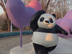 -秦皇岛野生动物园