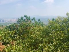 -南京市无想山景区