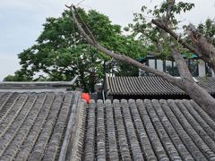 -糖房咖啡(南锣鼓巷店)