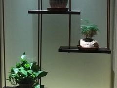 -大唐盲人按摩中心(天山路店)