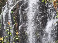 -永泰中国云顶