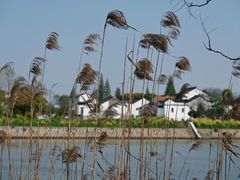 -梁鸿国家湿地公园