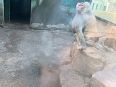 -无锡动物园·太湖欢乐园