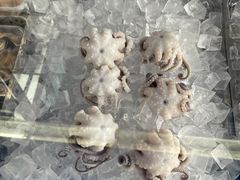 白灼章鱼-铭聚章鱼土笋冻(松柏店)