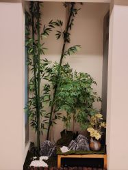 -侒悦缦月子中心·疗愈园区(龙岗店)