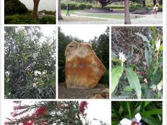 -福田红树林生态公园