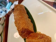 -真真老老(月河花鸟市场店)