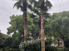 -上海汾阳花园酒店