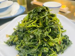-都江堰石锅鱼