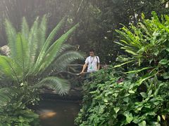 -呀诺达热带雨林