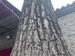 -金陵花卉交易市场