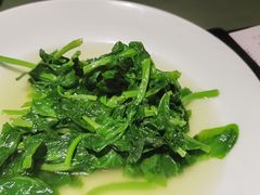 -老吉堂上海本帮菜(望京万象汇店)