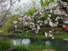 -苏州独墅湖世尊酒店