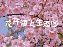 -花开海上生态园