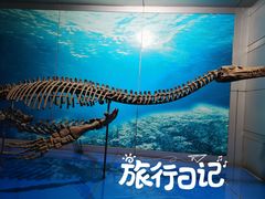 -自贡恐龙博物馆