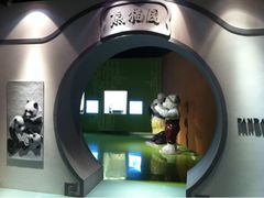 -成都泰迪熊博物馆