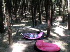 -山王坪喀斯特国家生态公园