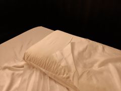 -泰·菩提树下[泰式按摩x精油SPAx肩颈头疗](新景店)