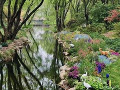 -上海共青森林公园