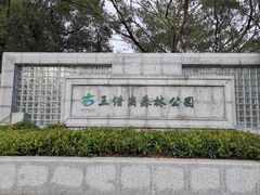 -王借岗森林公园