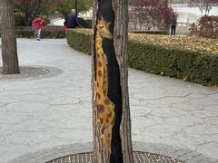 -迎泽公园