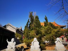 -天津大悲禅院