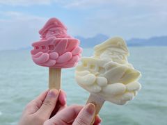-招商蛇口邮轮母港(观光客运)