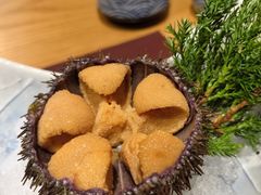-九酢·海鲜居酒屋