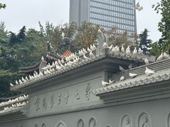 -天龙宝严素食馆(大兴善寺店)