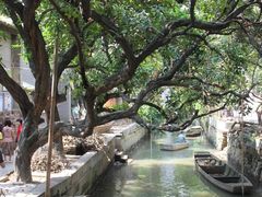 -小洲村