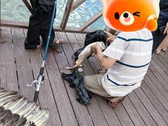 -福建省非物质文化遗产博览苑