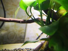 -碓臼峪自然风景区