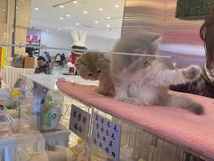 -吾悦广场(天津和平店)