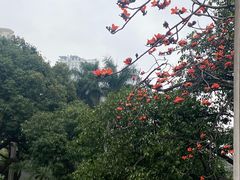 -晓港公园