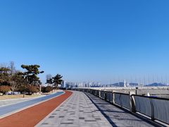 -星光岛