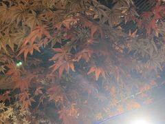 -城墙拐拐火锅(三峡广场黑金冠店)