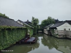 -鲁镇