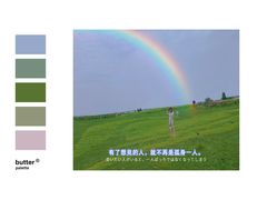 -大塘金香草谷