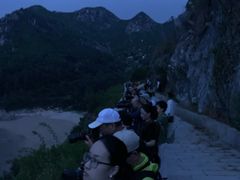 -北岐滩涂