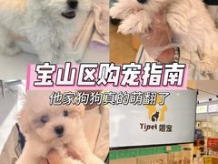 -翊宠yipet猫狗购宠庄园犬舍•猫舍
