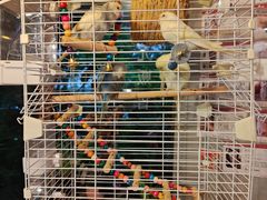 -时光花园(白鹭洲店)