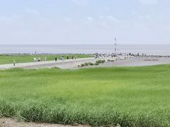 -南汇嘴观海公园