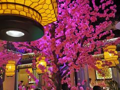 -今朝桃花醉川菜小酒馆(龙湖天街店)