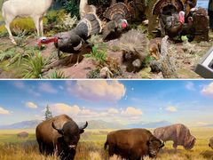 -陕西自然博物馆