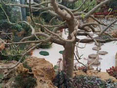 -南通洲际绿博园