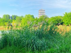 -Supine Bistro溯泮餐厅